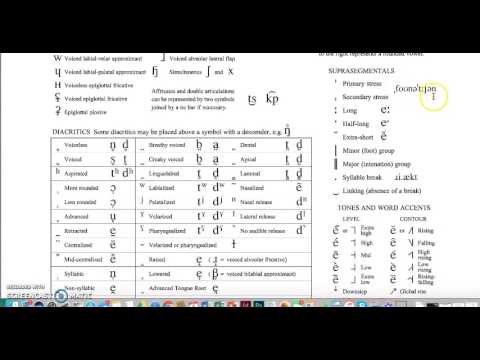 Overview of the IPA Chart (Suprasegmentals)