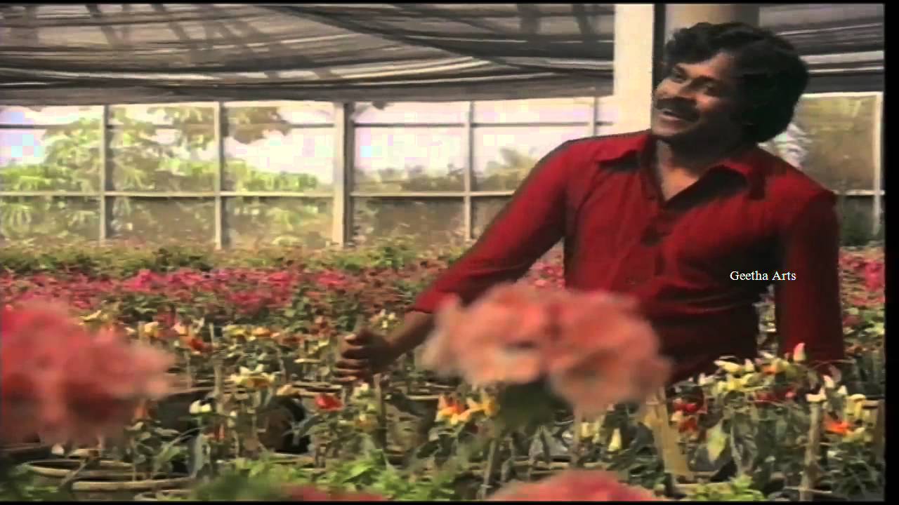 Ayithe Adi Nijamyithe Lyrics  | Subhalekha | Chiranjeevi, Subhalekha Sudhakar, Sumalatha, Tulasi | VV Sastry