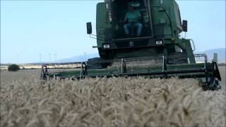 preview picture of video 'Cosecha De Trigo / Harvest 2014 Spain'