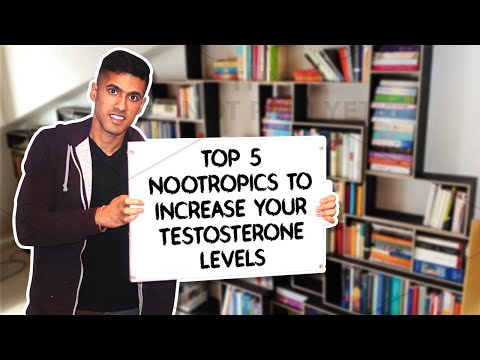 4 Nootropics To Boost Testosterone Levels
