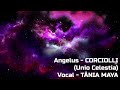 ANGELUS | Tânia Maya