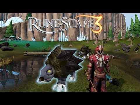 Make Profit Using The Hunter Skill Part 3! Runescape 3 Money Making Guide Runescape 3 2023