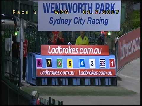 WENTWORTH PARK-01072017-RACE-8