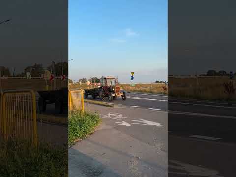 Ursus C330 ciapek tractor #tracktor #ursus