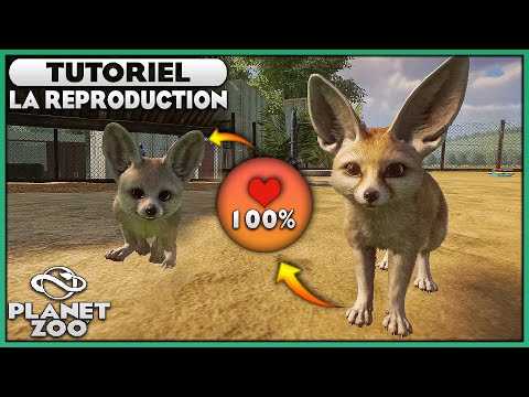 TOUT SAVOIR sur la REPRODUCTION DES ANIMAUX | TUTORIEL | PLANET ZOO