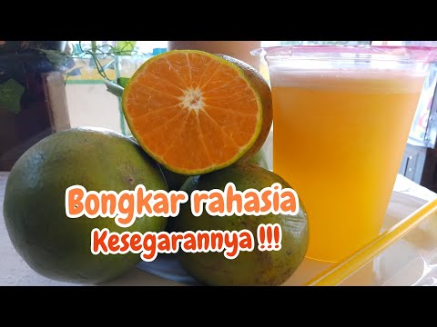 cara membuat jus jeruk untuk dijual