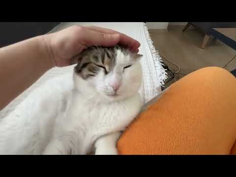 MAKBULE'DEN ŞİRİNLİK DALGASI, HİPERAKTİF FIRILDAK'TAN ENERJİ PATLAMASI