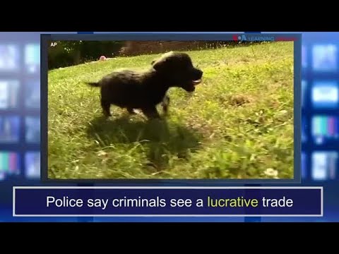 新聞的話。Lucrative (News Words: Lucrative)