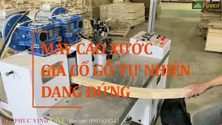 MÁY ÉP VÂN GỖ 2 CẠNH ĐỨNG 600MM WOODMASTER WM-600G2E.