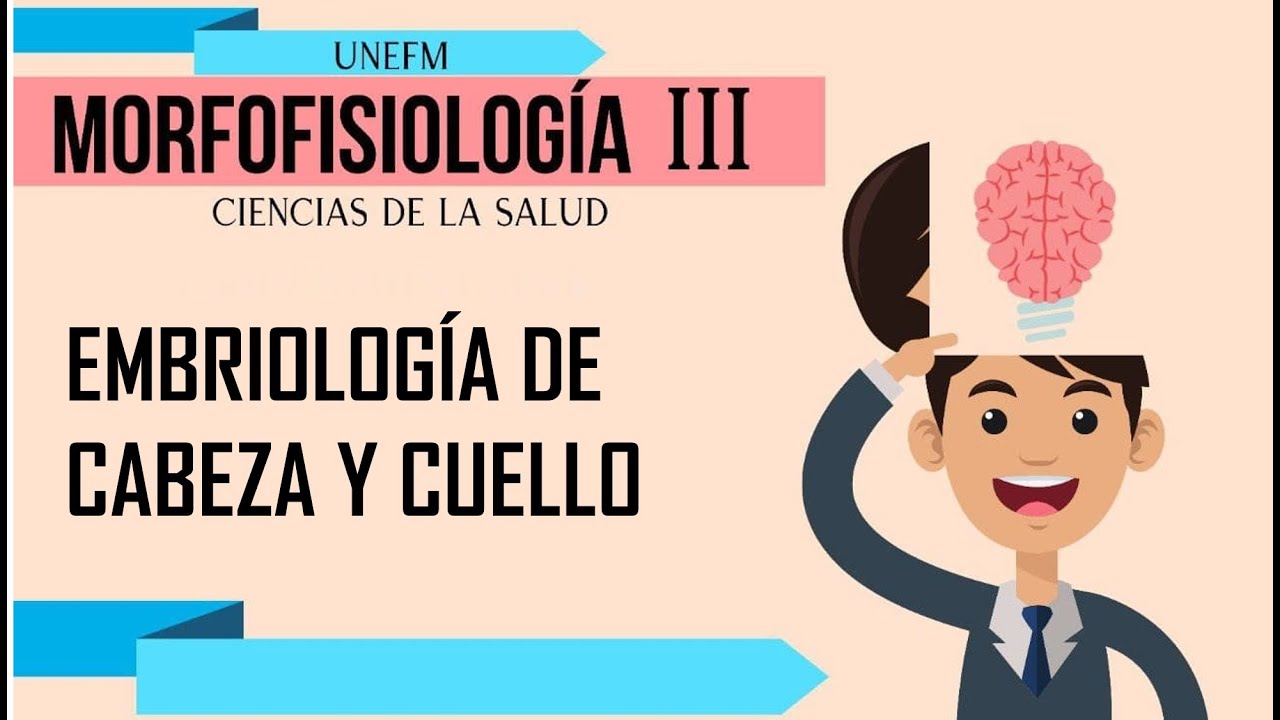 EMBRIOLOGIA DE CABEZA Y CUELLO