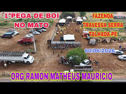1ªPEGA DE BOI NO MATO FAZENDA TRAVESSA SERRA TALHADA-PE ORG MATHEUS,RAMON E MAURÍCIO VÍDEO DA CASA.
