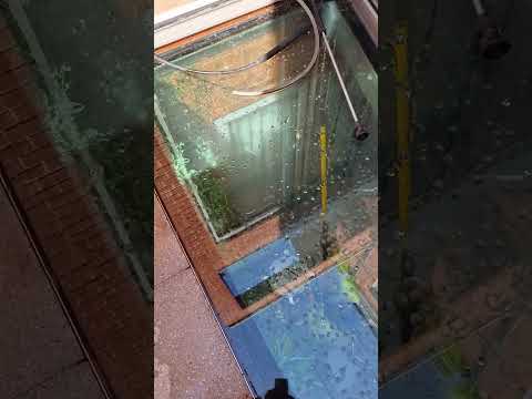 Tito Window Cleaning Services video.