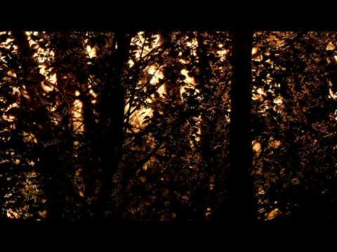 Alexey Filin (DP-6) - Textura, part 01