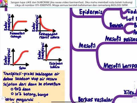 BIOLOGI KSSM T5- Bab 2 Struktur Daun dan Fungsi Daun