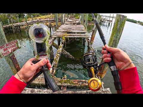What's Hiding Under an Abandoned Pier?