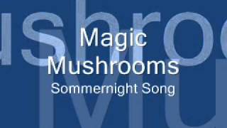 Magic Mushrooms - Sommernight Song (LIVE)