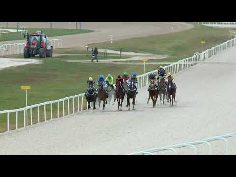 2017.11.12. 3. futam - NYERETLENEK VERSENYE (V.kat.) (szintetikus pálya)