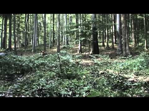 Zhasni - Parcely na měsíci