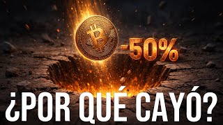 ¿Por qué Bitcoin ha llegado a caer un 50% en cuatro meses?