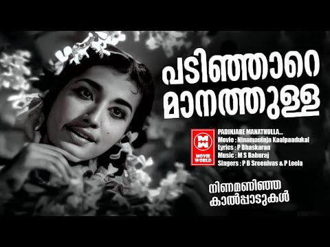 Padinjare Manathulla Video Song | Ninamaninja Kalpadukal | Prem Nazeer | Ambika | Malayalam Song