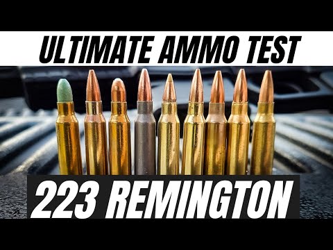 223 Remington Ammo Test!!! [CZ 600 Trail]