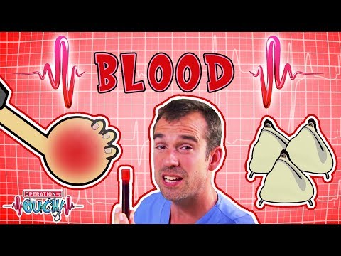 Blood Video Biology Ck 12 Foundation