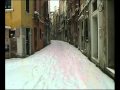 1219 Neve A Venezia Avi