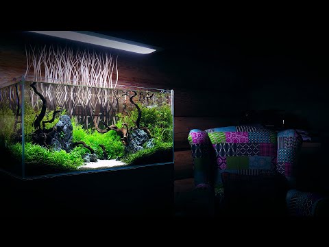 180L AQUARIUM MAINTENANCE ON CLIENT LOCATION - 4K CINEMATIC - GREEN AQUA