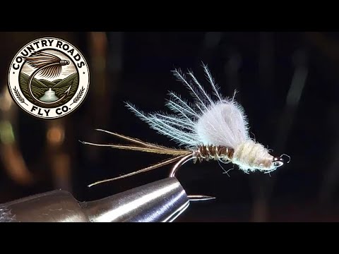 Loop Wing PMD