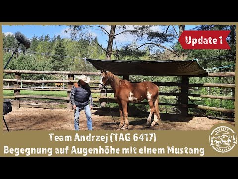 MUSTANG MAKEOVER 2021 - Team Andi (TAG 6417) - Begegnungen auf Augenhöhe