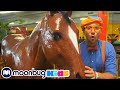 Blippi The Jungle Animals Learns About Animals For Kids Educational Videos For Toddlers