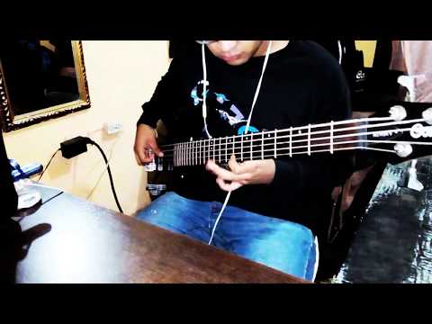 Algo Nuevo Empezó | Bani Muñoz /Cover Bajo