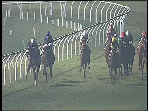 Galoppo 28/01/2017 - 7ª corsa - TRIS