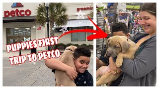 I Took My Puppy To PETCO For The First Time 😍