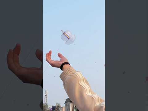 Kite Flying 2025 | Kite Video | Kite Fighting | Yogesh 01