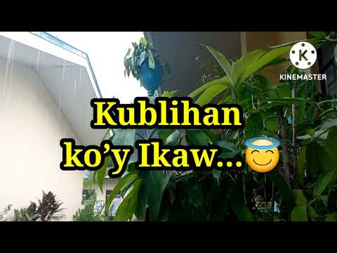 Kublihan Koy Ikaw - Papuri Singers