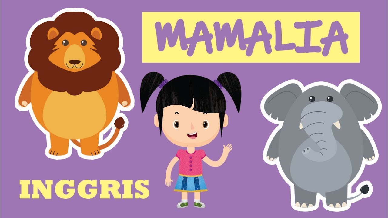 Belajar Mengenal Nama  nama  Hewan  Mamalia dalam Bahasa 