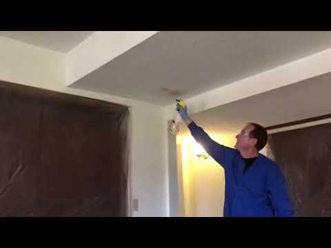 Homeowner Tips - DIY Ceiling Stain Removal