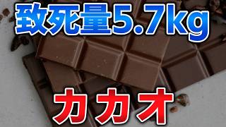 ゆっくり毒物vol.124　カカオ【ゆっくり解説】
