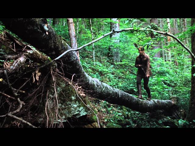 THE HUNGER GAMES - On Blu-ray, DVD and Digital Download 8/18/12