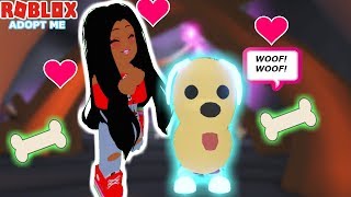 HOW TO GET A FREE NEON PET IN ADOPT ME NEW UPDATE! (Roblox ...