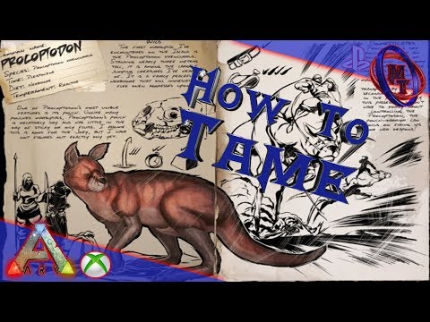 Ark Survival Evolved How To Tame Procoptodon