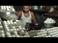 Roti Telur Goreng Ala Bangladesh Fry Eggs And Bread Street Food