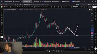 Grayscale Trusts: BCHG and LTCN