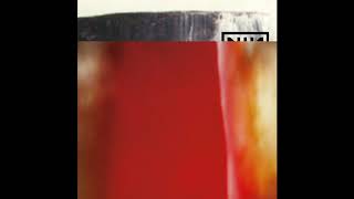 NIN - The Fragile Expanded (Disc 1)