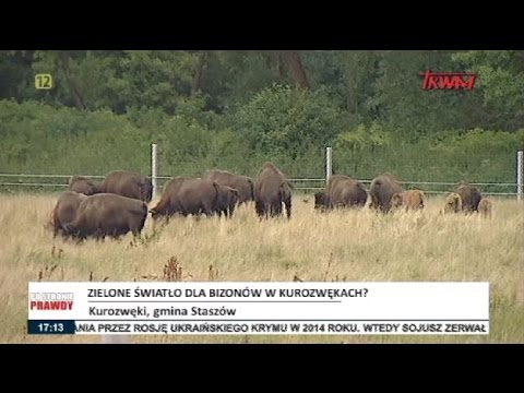 Po stronie prawdy: 13.07.2016