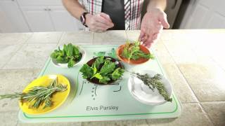 Top 5 Herbs for Healthy Living