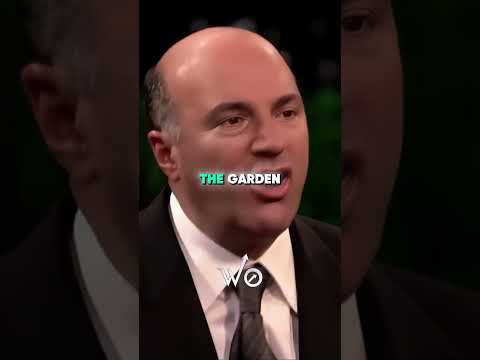 Mark’s $1.25M Offer SHOCKED Everyone on Shark Tank! 🦈💥 | Shark Tank US