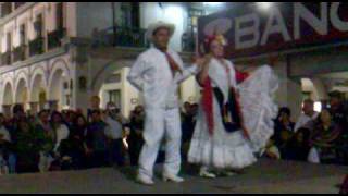 preview picture of video 'Fiesta Jarocha del Paseo del Malecon - Querreke.'