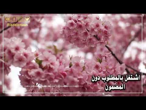 رياض الإيمان # اشتغل بالمطلوب دون المضمون
